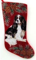 Kings Charles Cavalier